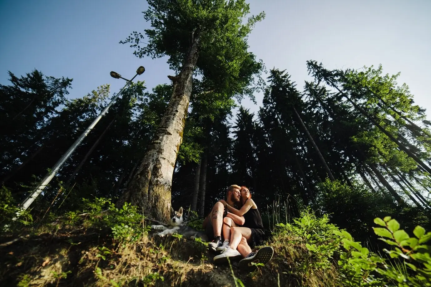 A beautiful couple and a dog are resting in the forest.